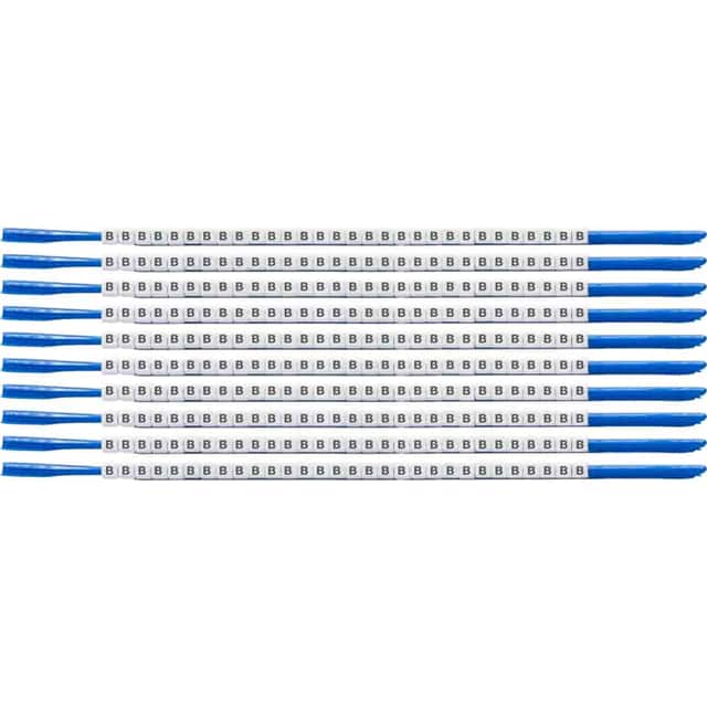 SCN07-B