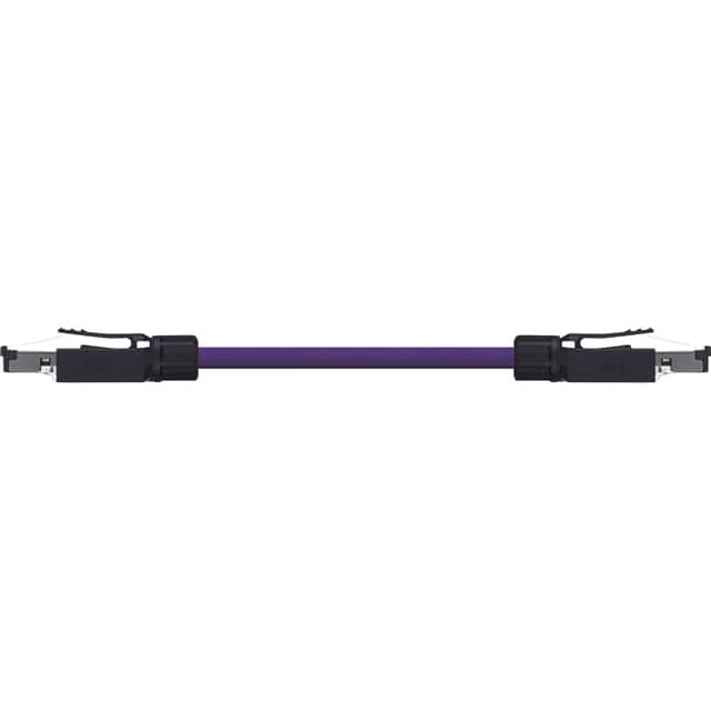 CAT6 PVC-010FT