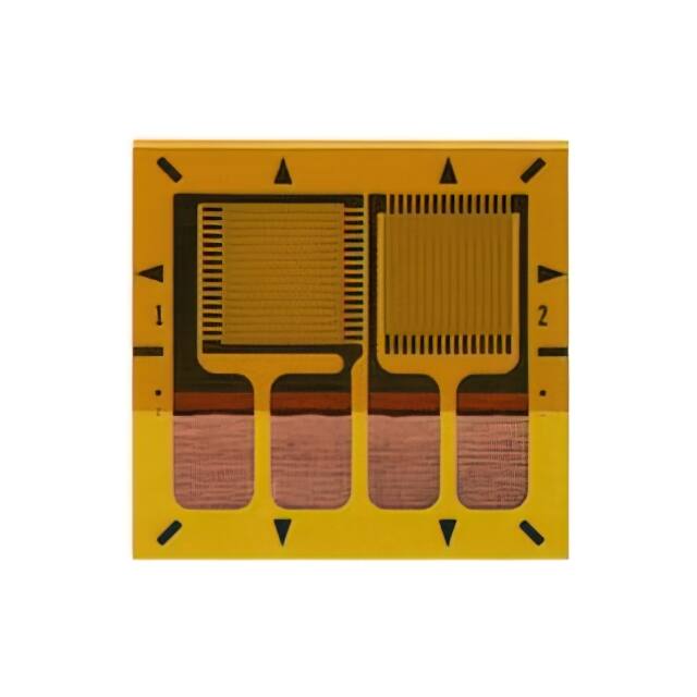 MMF405020