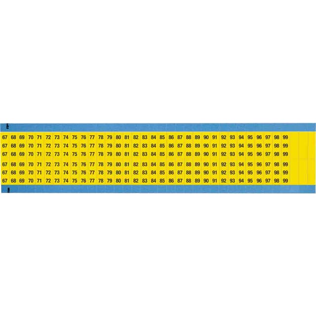 WM-67-99-YL-SC-PK