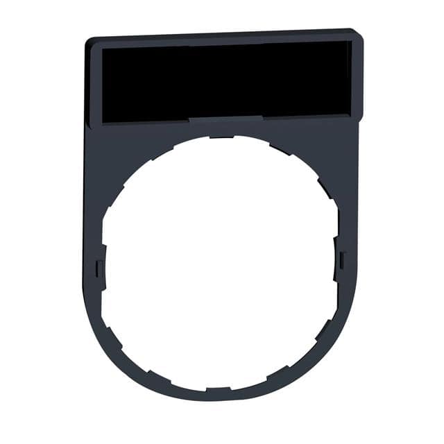 ZBY2101