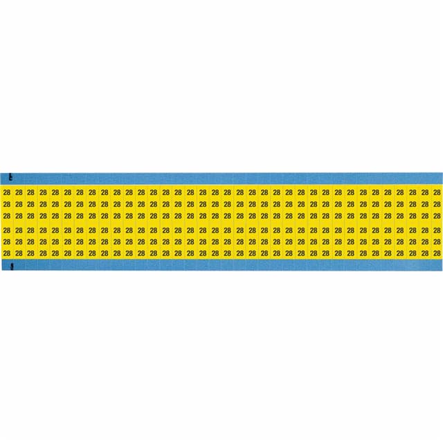 WM-28-YL-SC-PK