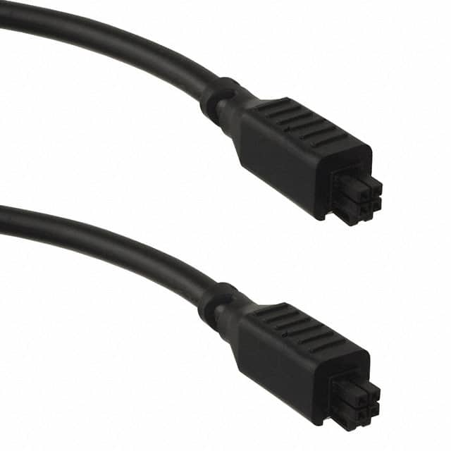 2451300410