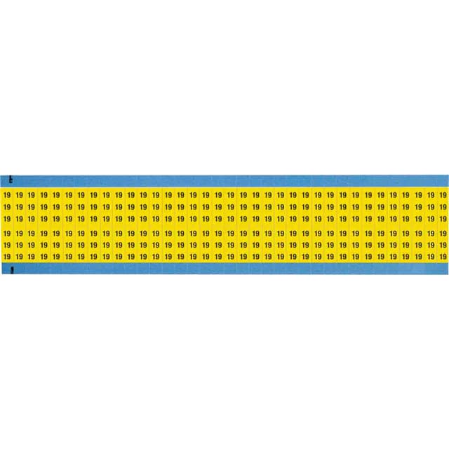 WM-19-YL-SC-PK